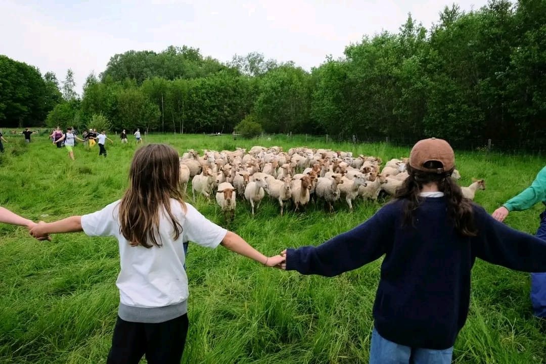 Educatie en zomerkampen